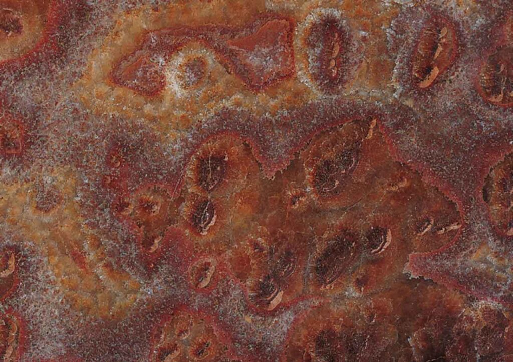 Ca’ D’ORO Spa - Onici
